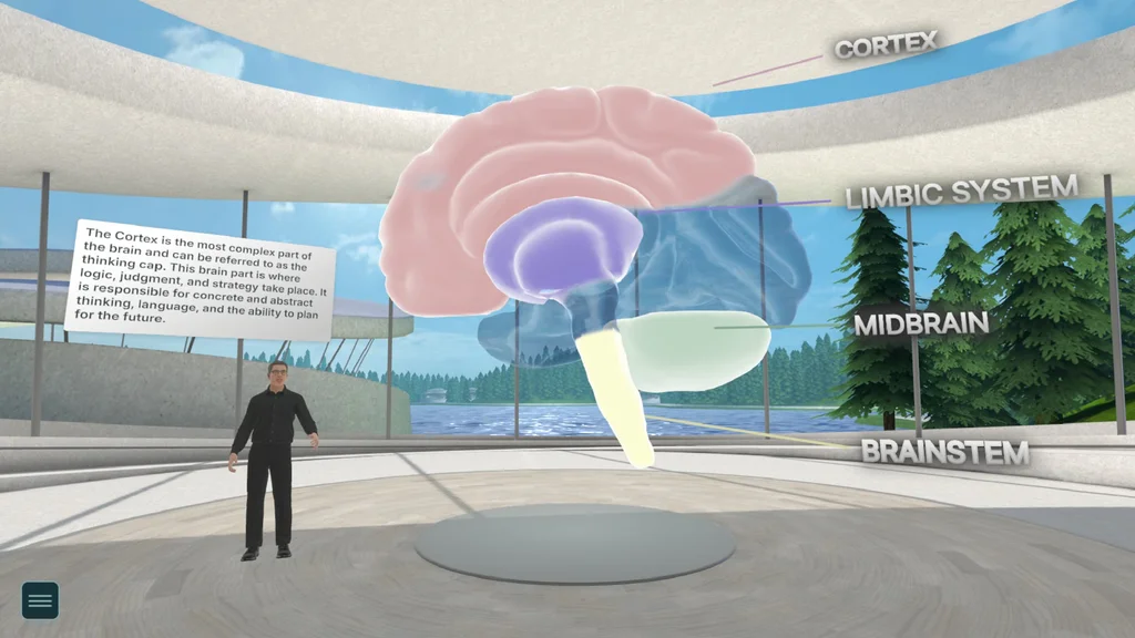 Brain science lesson from the Intro to Trauma course