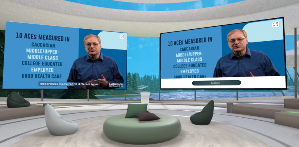 Video Lessons