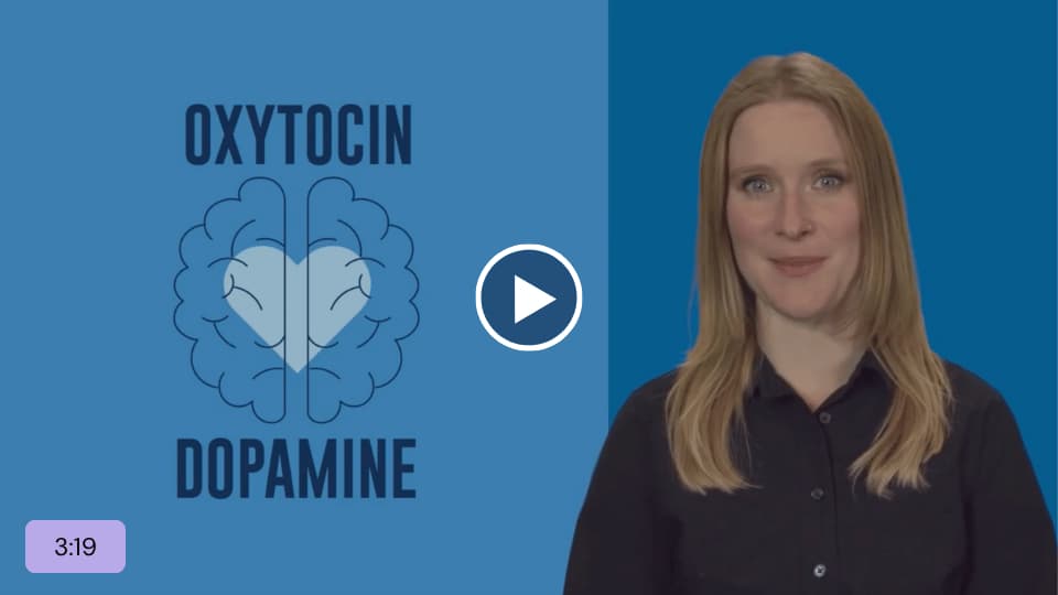 The Amygdala Explained